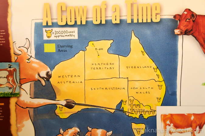 オーストラリア酪農マップ