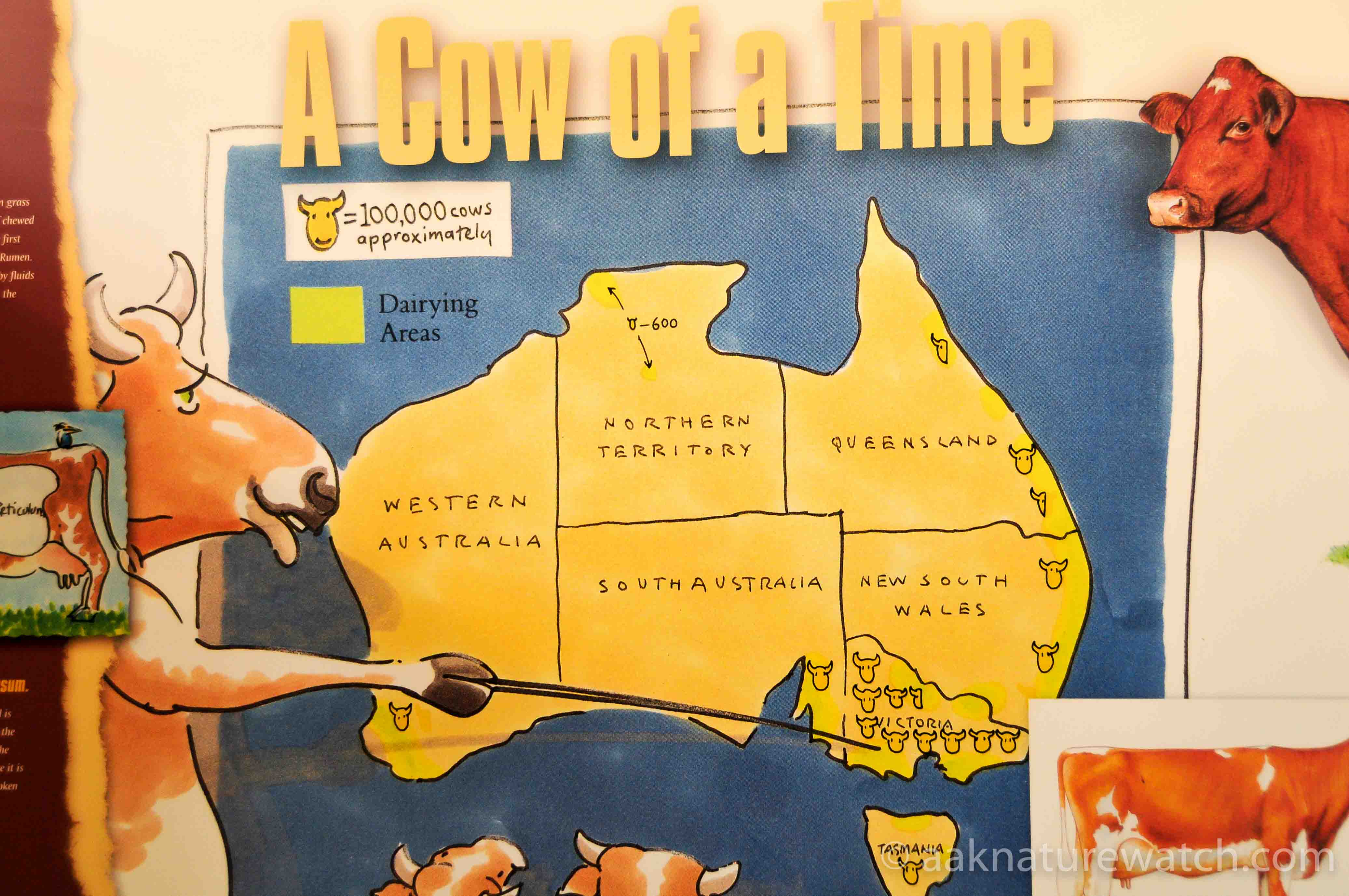 オーストラリア牛マップ