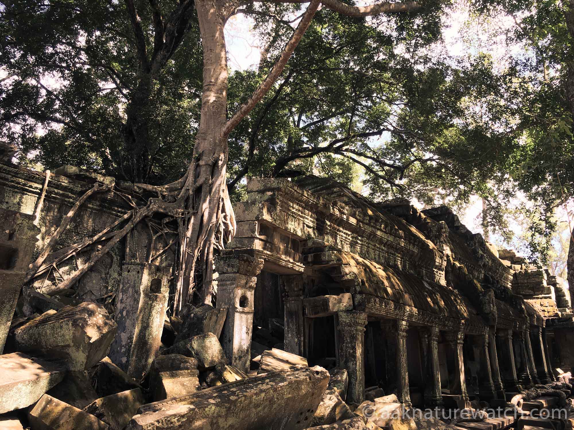 カンボジアの寺院