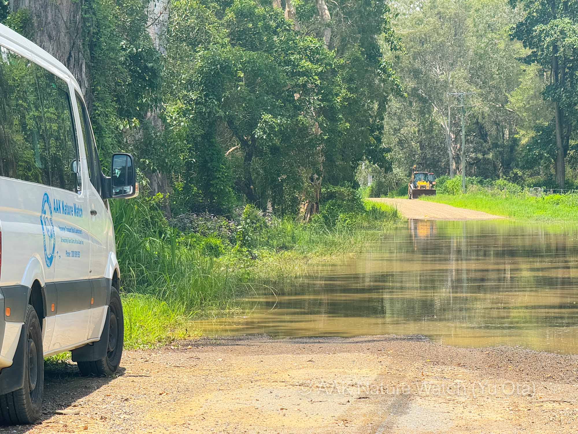 ガチの雨季にケアンズ
