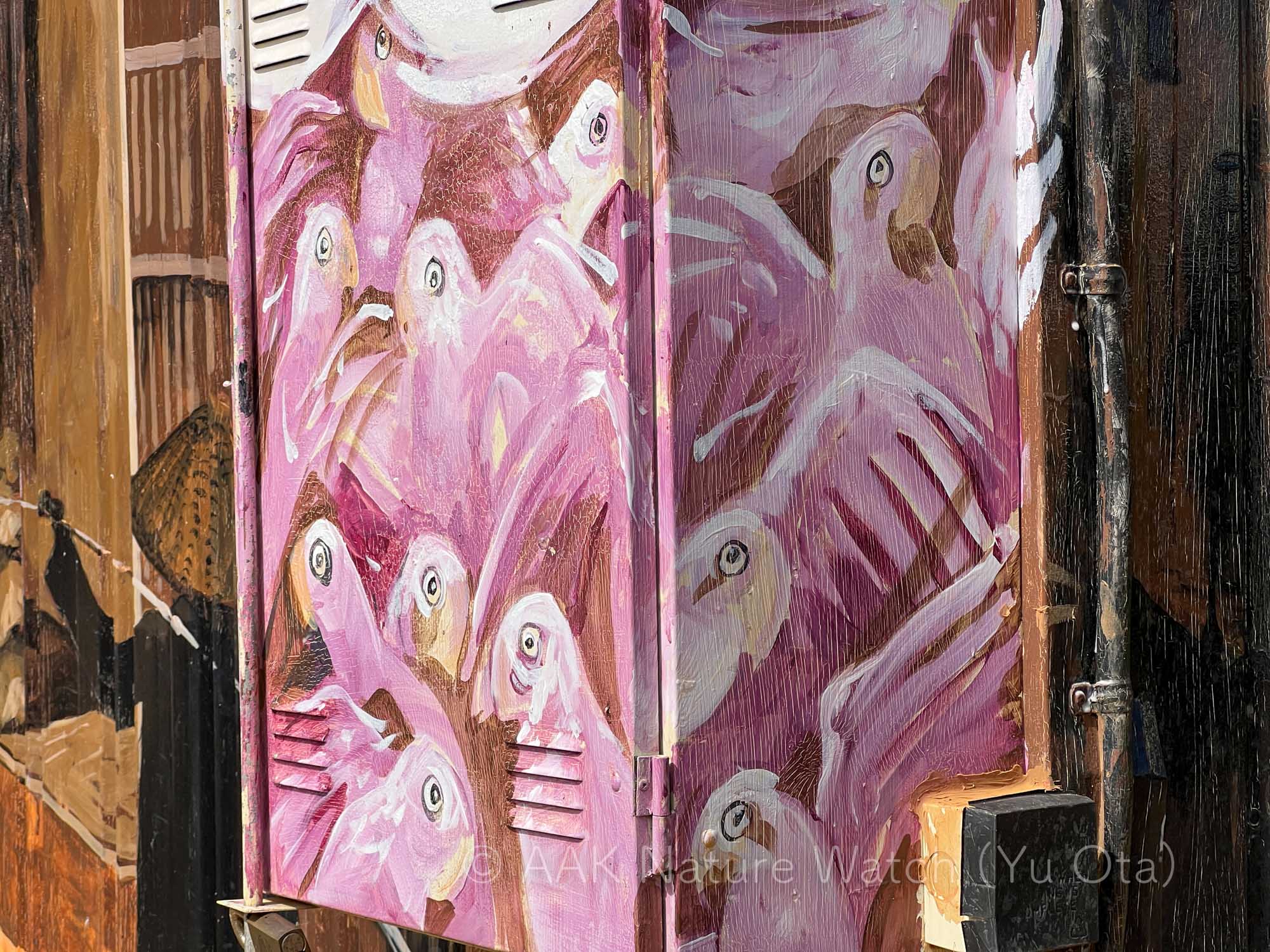 ムンクの叫びのようなモモイロインコのストリートアート