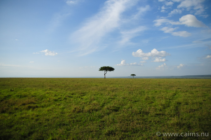 マサイマラ大草原