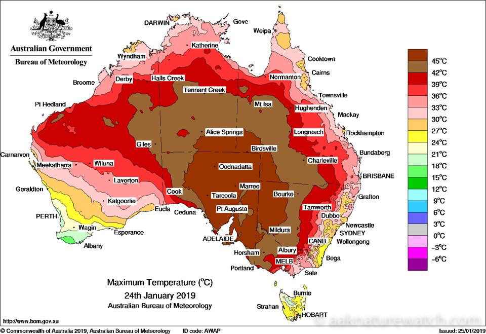 オーストラリアの最高気温1月24日