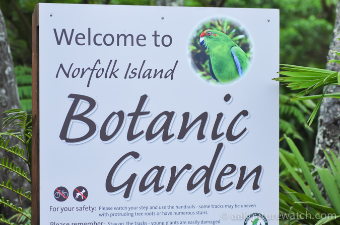 Norfolk_Botanic