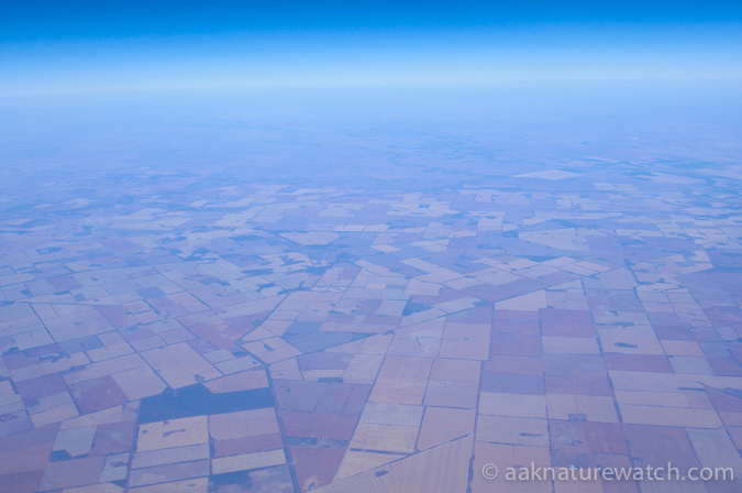 農地　航空写真