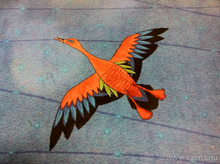 カザリリュウキュウガモ