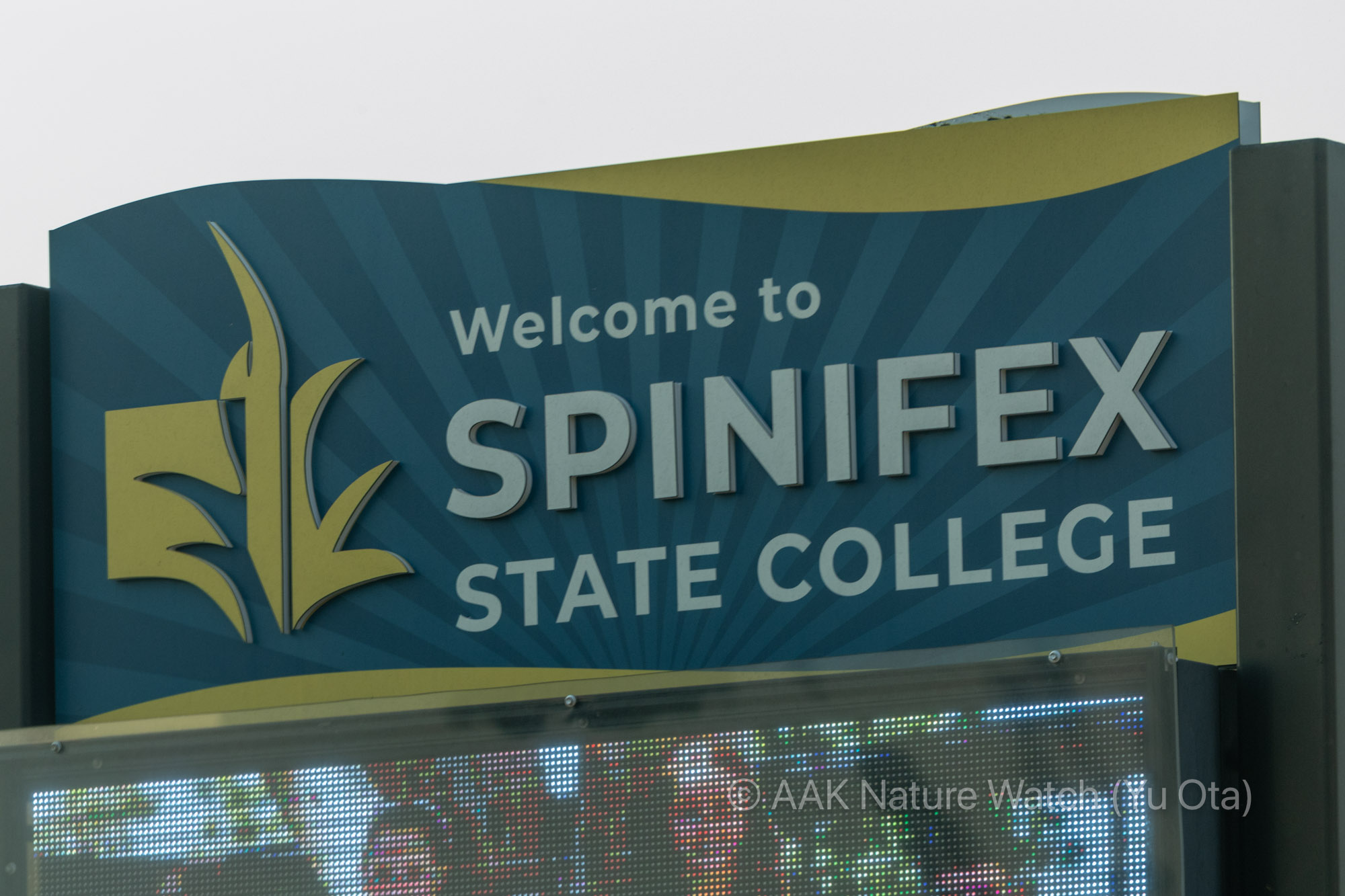 スピニフェックス高校