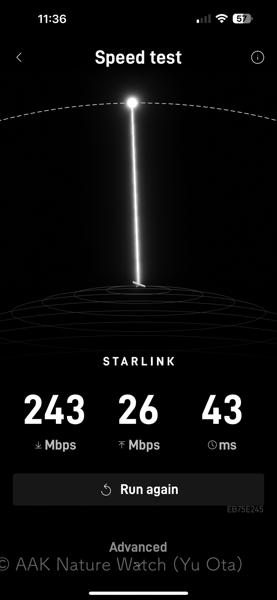 衛星高速インターネット、スターリンクを導入