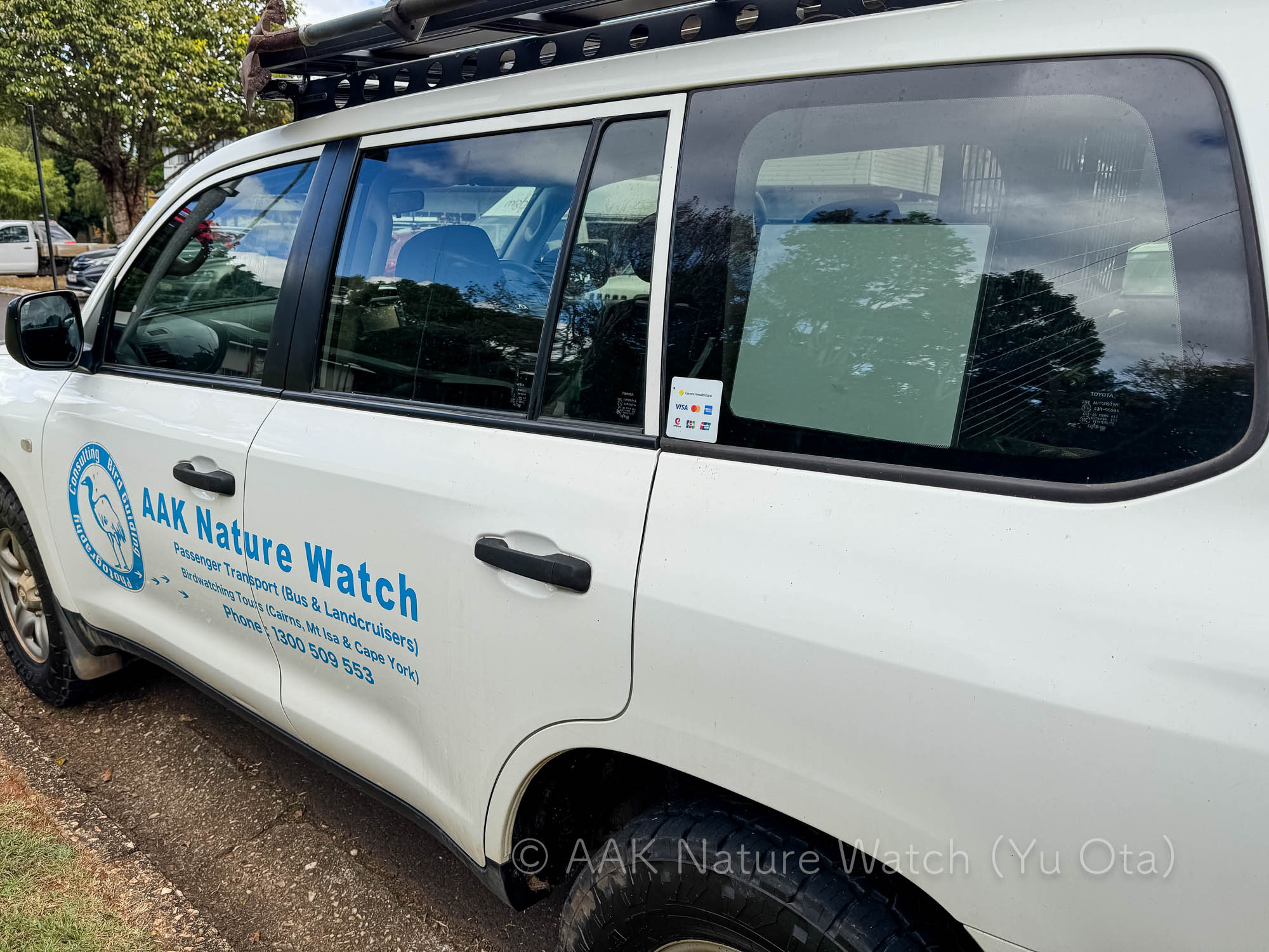 衛星高速インターネット、スターリンクを導入