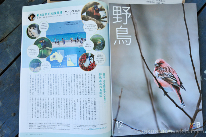 日本野鳥の会機関誌「野鳥」