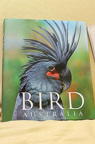 BIRD AUSTRALIA
