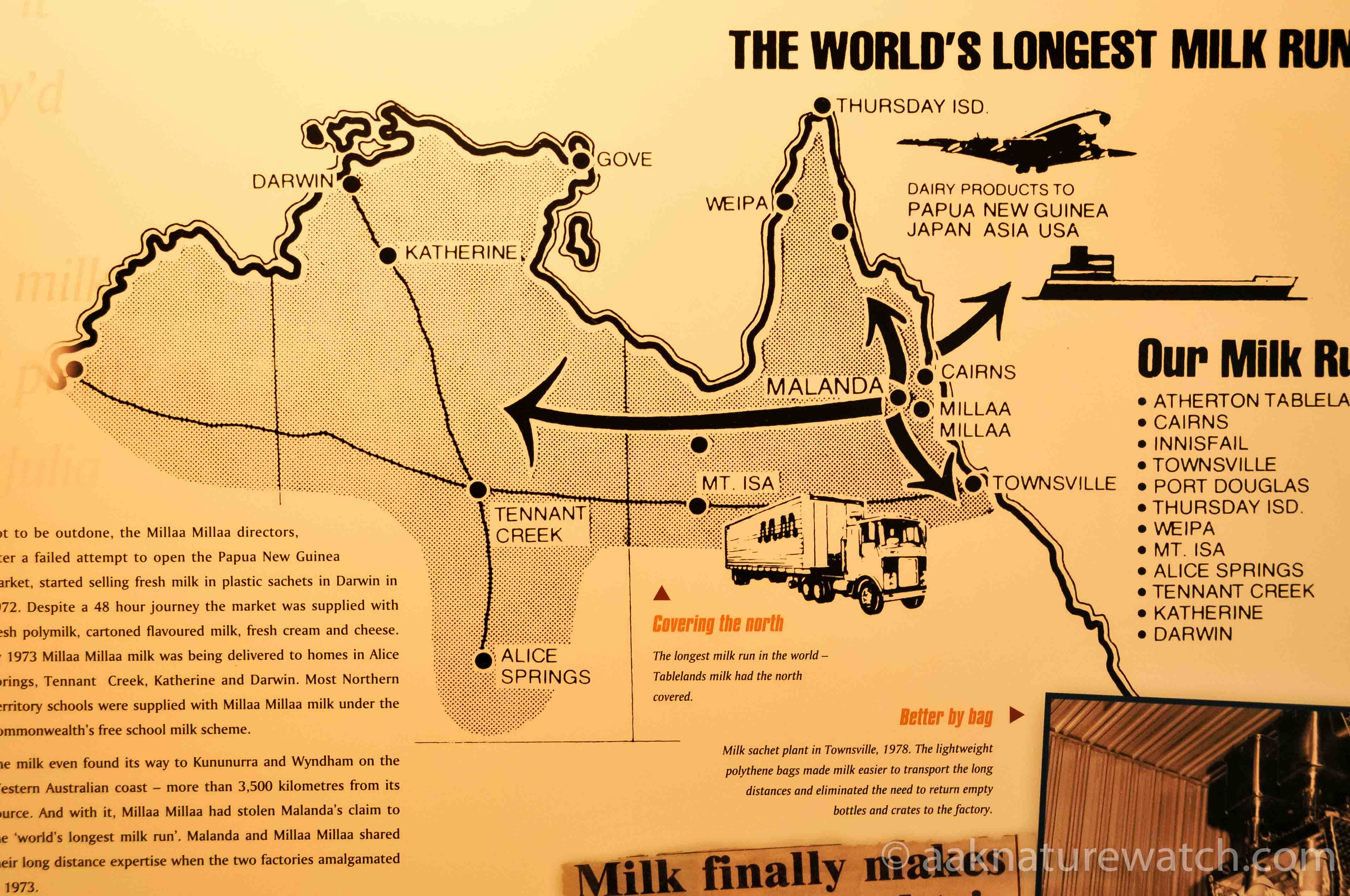 世界最長の牛乳配達の図