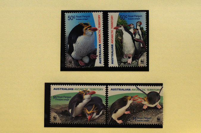 WWFの限定ペンギンコレクション